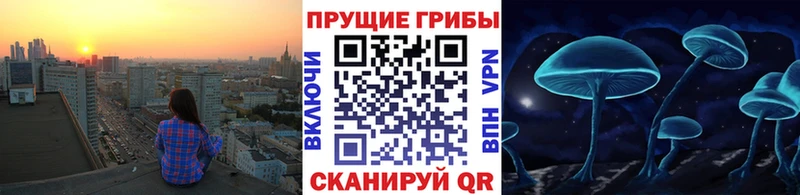 Псилоцибиновые грибы Psilocybine cubensis  Таруса 